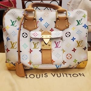 Louis Vuitton Speedy 30 Multicolore